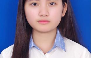 bui-thi-phuong81's picture